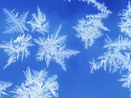 SNOWFLAKE images